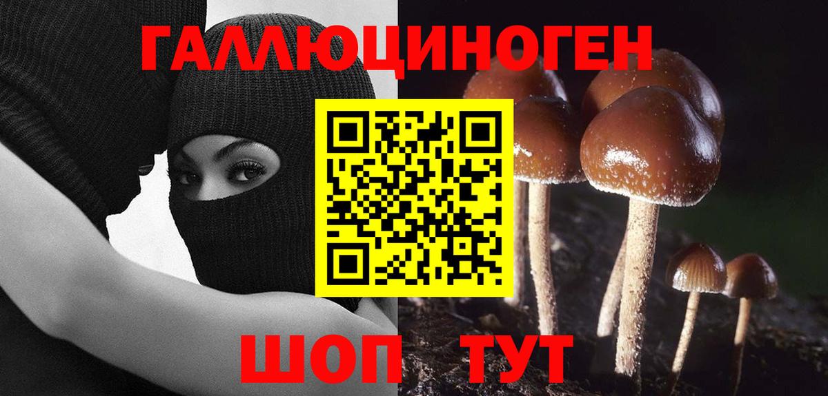 Псилоцибиновые грибы Magic Shrooms Корсаков